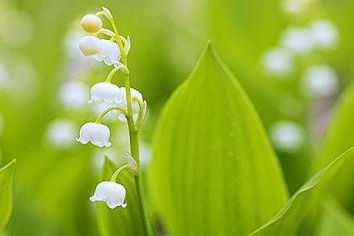 游戏爱好者将《超级马里奥64》移植到GBA掌机